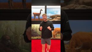 Mrbeast spot the fake animal for $10,000