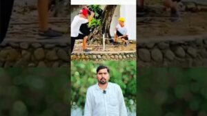 Master Ji #shorts video reels #duet #youtu.be #family #fullsport #socilmidia # like comment share subscribe